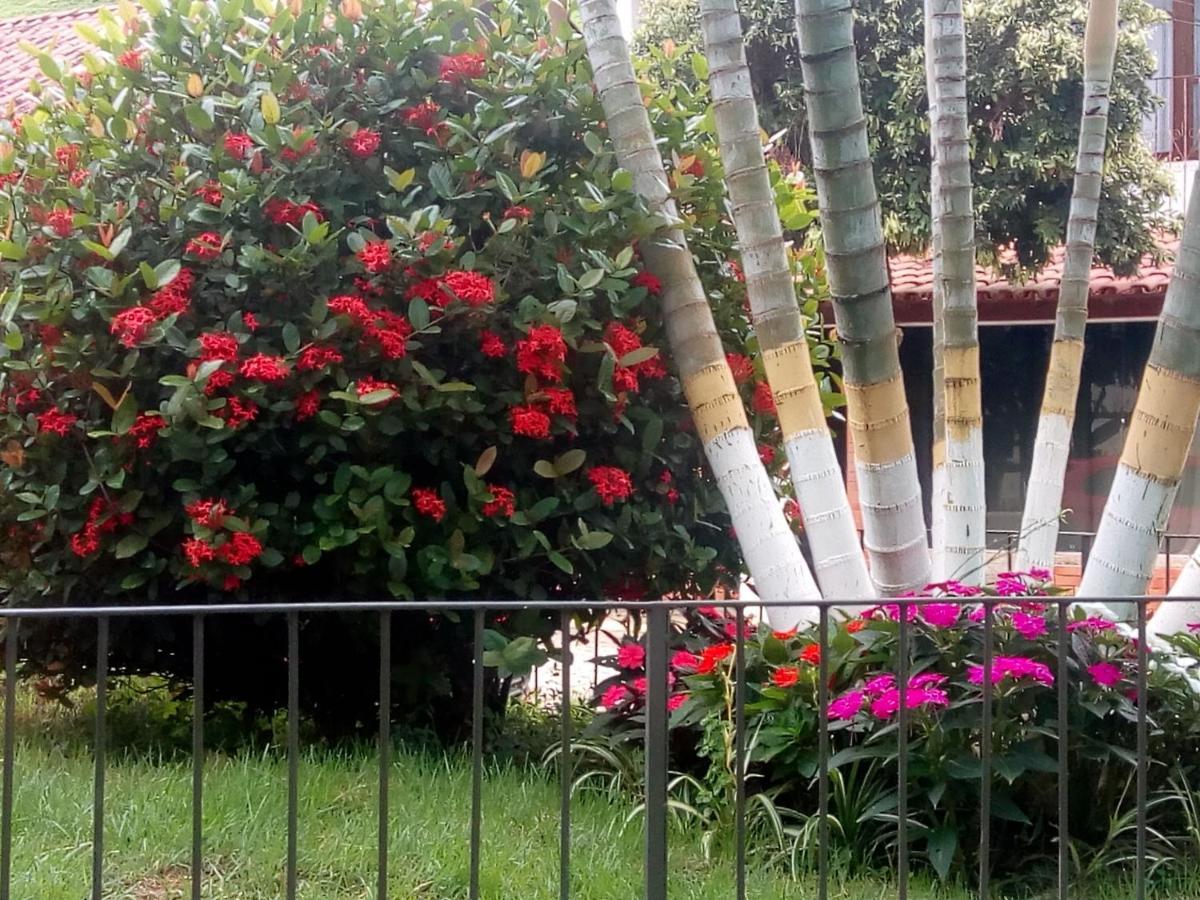 Holiday home Casinhas Interior Mg *